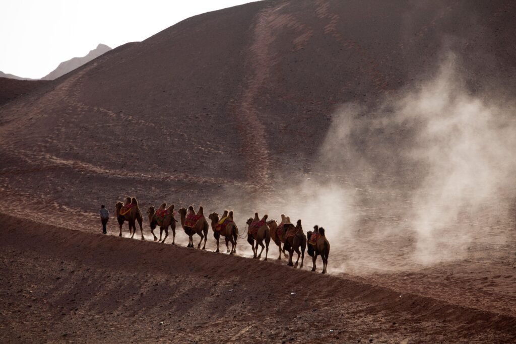 The Invisible Empire: 3 Ancient Roman Trade Routes Still Controlling Your Economic Life