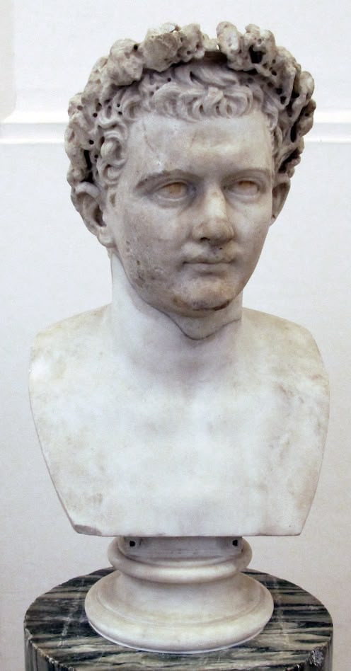Domitian: The Complex Legacy of Rome’s Last Flavian Emperor Domitian: The Complex Legacy of Rome’s Last Flavian Emperor